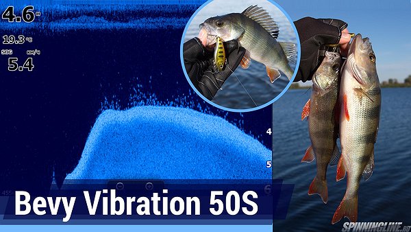 Изображение 1 : Окунь на Bevy Vibration 50S